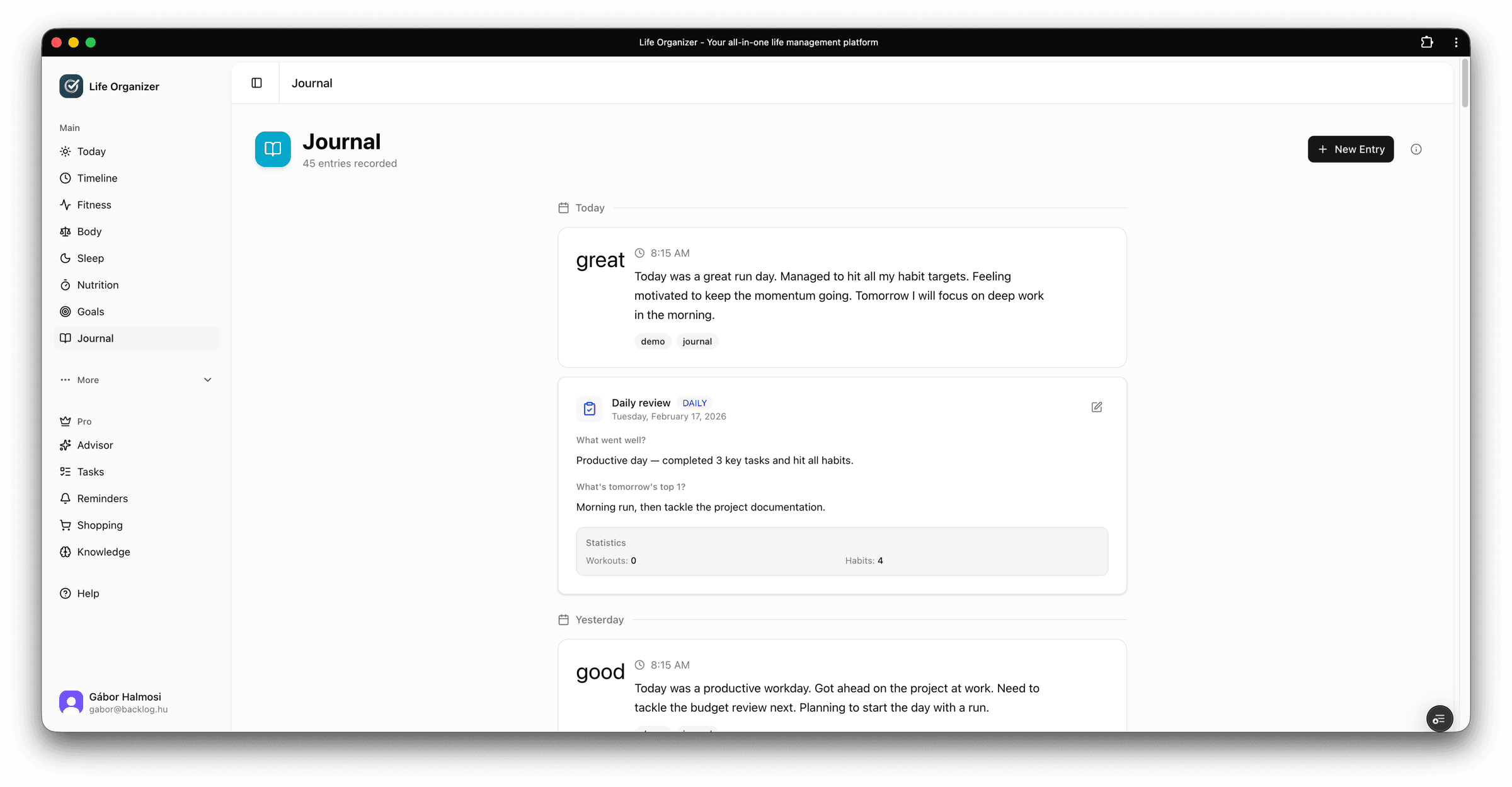 Journal view with daily entries, mood tracking, and structured review system